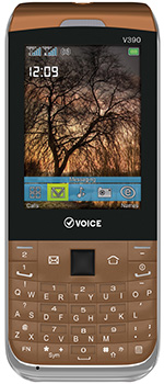 Voice V390 Price in Pakistan